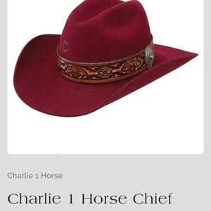 Charlie 1 Horse Chief